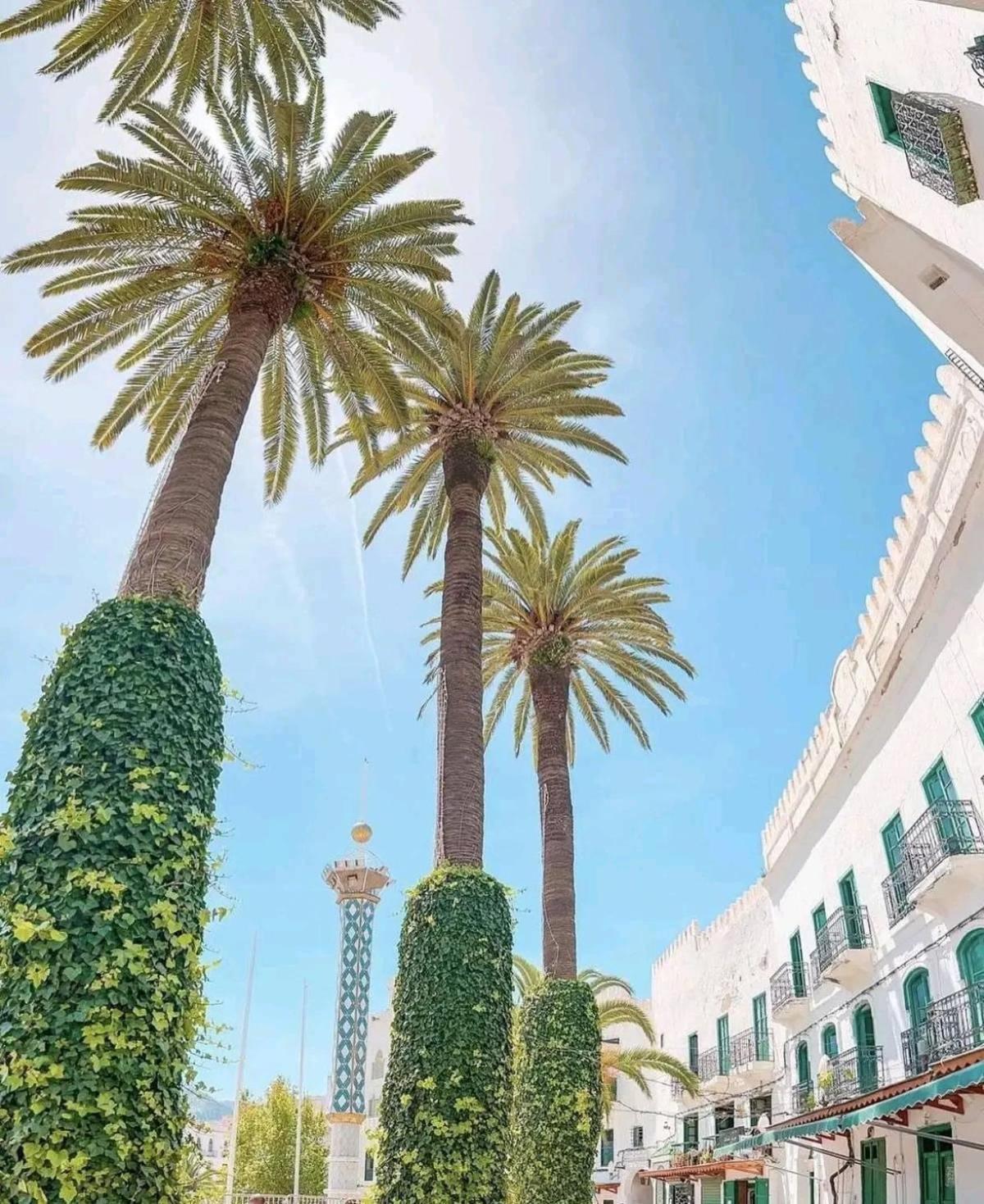 بيت شباب Casa Marwan Tétouan المظهر الخارجي الصورة