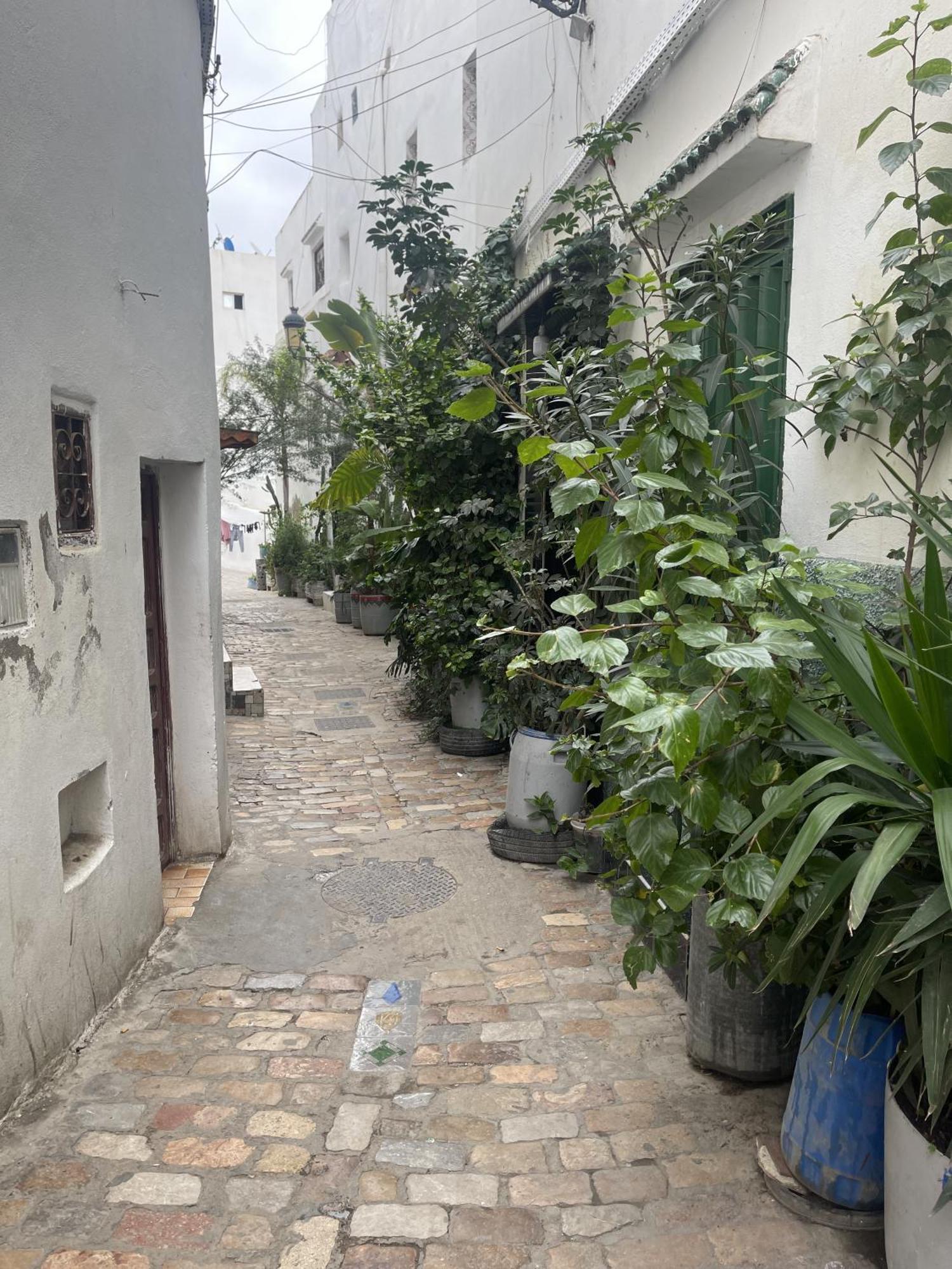 بيت شباب Casa Marwan Tétouan المظهر الخارجي الصورة